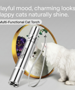 3-in-1 Laser Pet Toy & UV Flashlight Pen