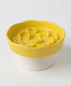 Ceramic Elevated Slow Feeder Bowl