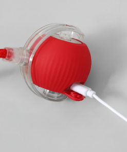 Auto-Wake Smart Ball Toy