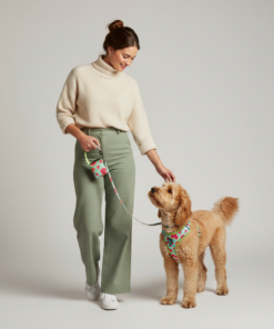3-Piece Dog Harness & Leash Set