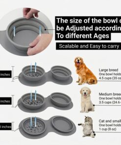 2-in-1 Collapsible Slow Feeder Travel Bowl
