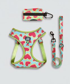 3-Piece Dog Harness & Leash Set
