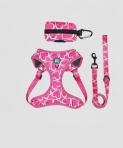 Alternative view of 3-Piece Dog Harness & Leash Set