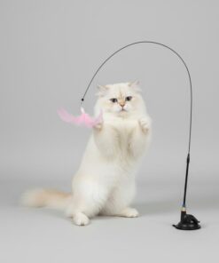 Cat Teaser Toy - Feather Wand