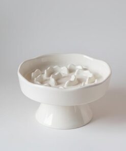 Ceramic Elevated Slow Feeder Bowl