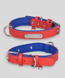 Dual D-Ring PU Leather Dog Collar with Nameplate