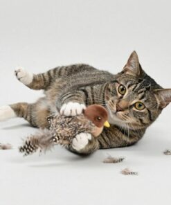 Flapping Bird Interactive Cat Toy