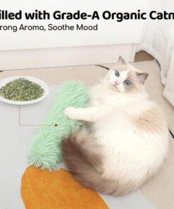 Interactive Catnip Plush Pillow