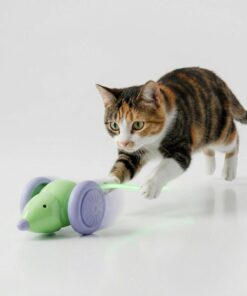 Interactive Mouse Toy for Cats