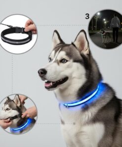 Milou & Lumi LED Glowing Pet Collar - Rainbow