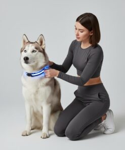 Alternative view of Milou & Lumi LED Glowing Pet Collar - Rainbow