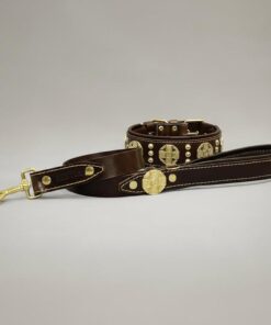 The "Maximus" collar 2.5 inch wide brown & gold